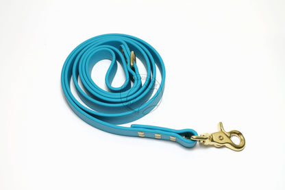 Oasis Blue Biothane Large Dog Leash