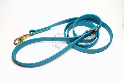 Oasis Blue Biothane Large Dog Leash