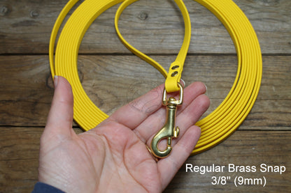 Lighter Weight Waterproof Tracking Recall Long Line - leash for smaller dog or cats - 3/8" (9mm) Biothane