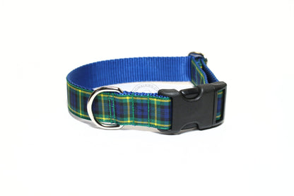 Gordon clan tartan - dog collar