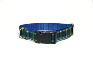 Gordon clan tartan - dog collar