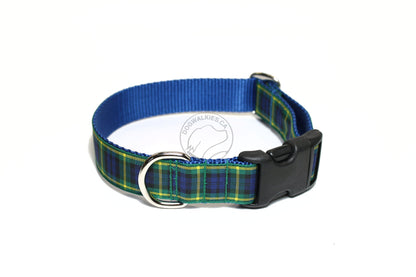 Gordon clan tartan - dog collar