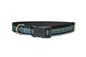 Colquhoun Clan tartan - dog collar