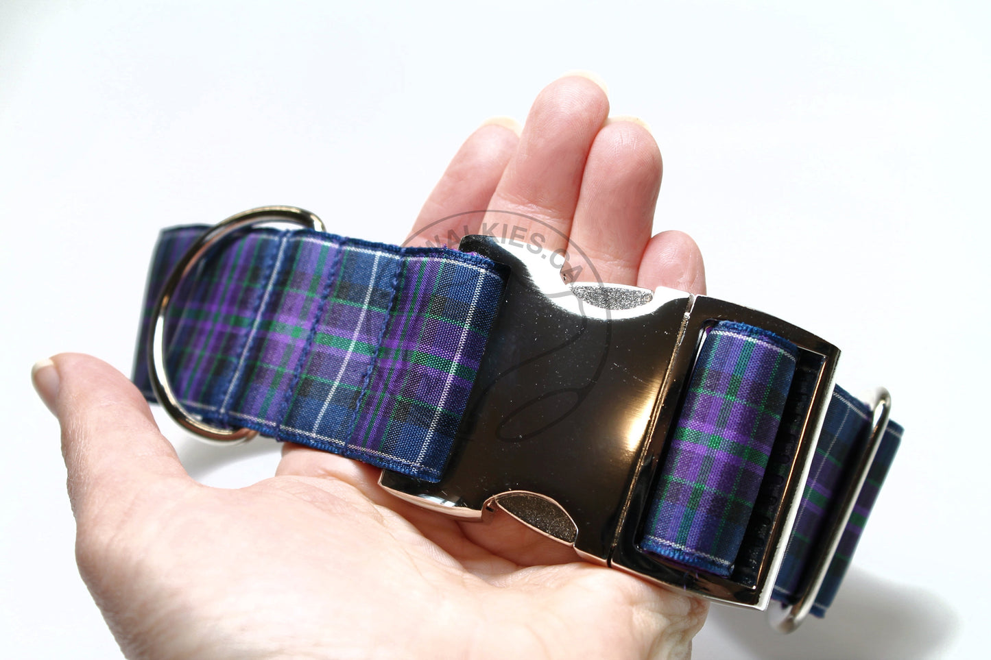 Pride of Scotland Modern tartan - dog collar