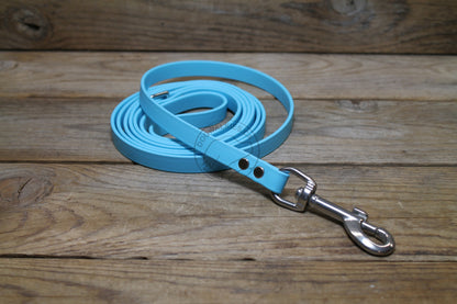 Frozen Blue Biothane Small Dog Leash