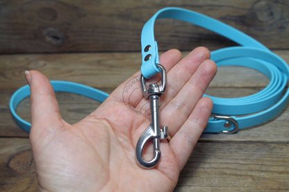 Frozen Blue Biothane Small Dog Leash