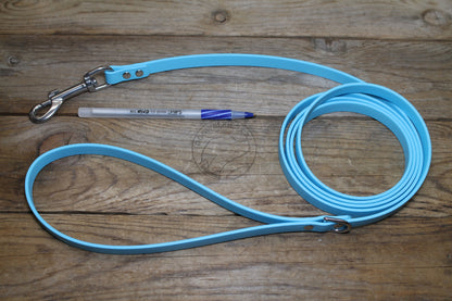 Frozen Blue Biothane Small Dog Leash