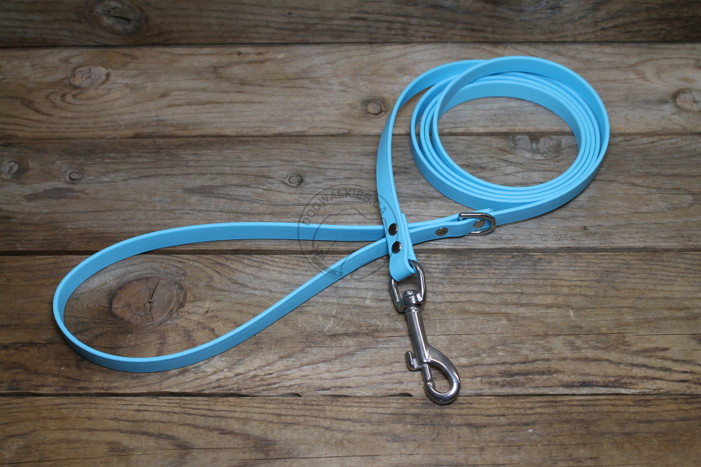 Frozen Blue Biothane Small Dog Leash