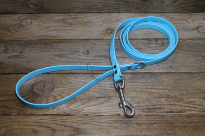 Frozen Blue Biothane Small Dog Leash