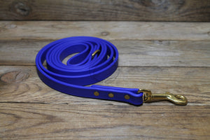 Royal Blue Biothane Dog Leash