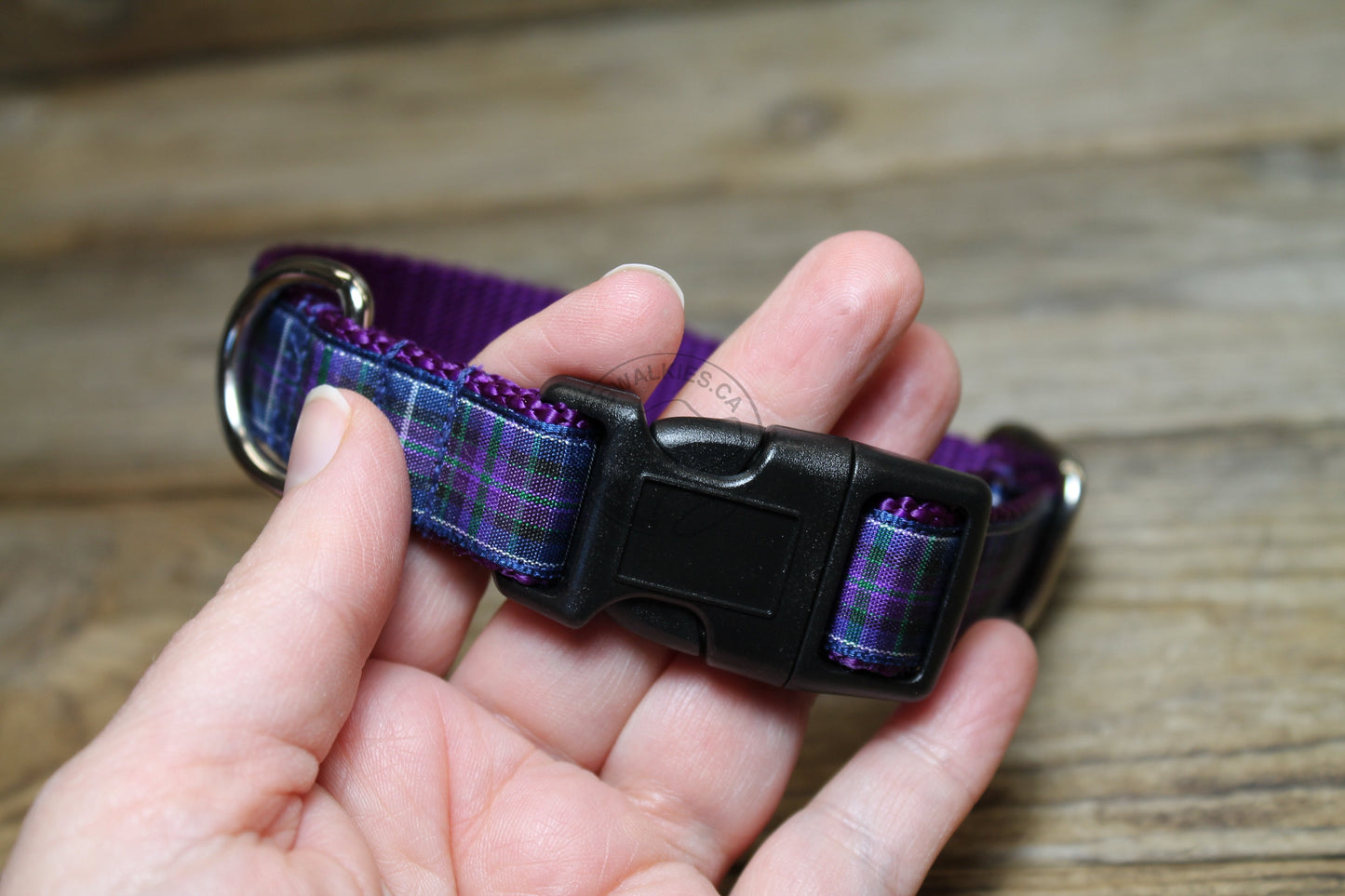 Pride of Scotland Modern tartan - dog collar