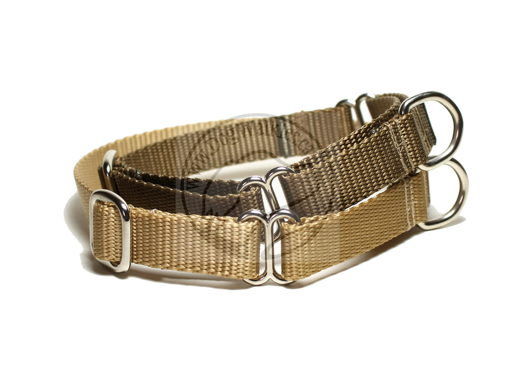 Martingale Dog Collar 3/4" (19mm) wide; Simple - Elegant - Strong