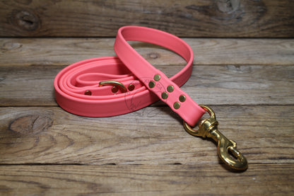 Heavy Biothane Leash 3/4" (20mm) wide - waterproof leash - all colours