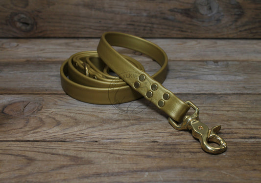 Gold Biothane Large Dog Leash