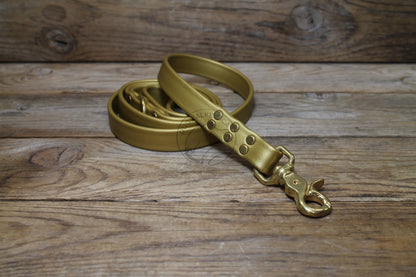 Gold Biothane Large Dog Leash