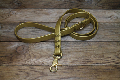 Gold Biothane Large Dog Leash