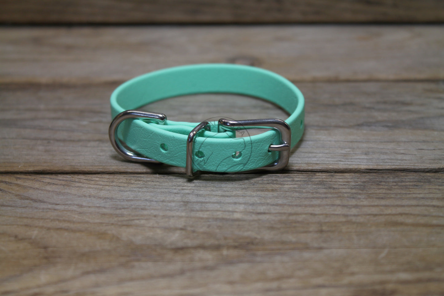 Sea Foam Green Biothane Small Dog Collar - 1/2" (12mm) wide