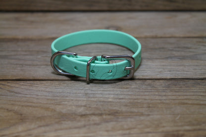 Sea Foam Green Biothane Small Dog Collar - 1/2" (12mm) wide