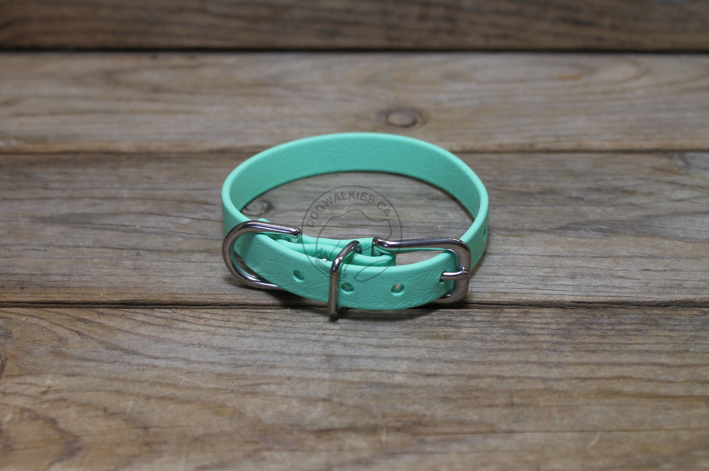 Sea Foam Green Biothane Small Dog Collar - 1/2" (12mm) wide