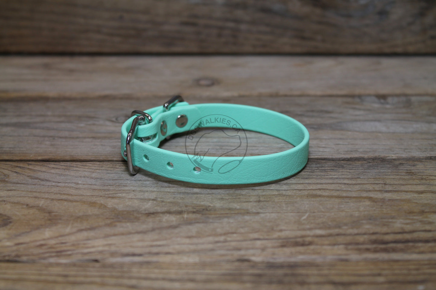 Sea Foam Green Biothane Small Dog Collar - 1/2" (12mm) wide
