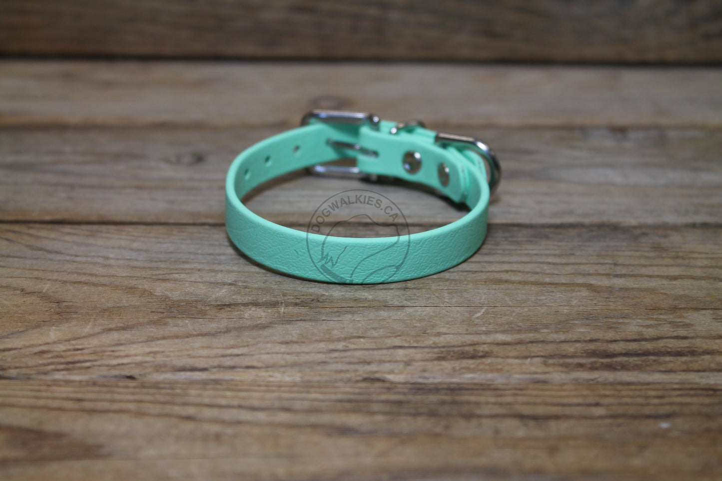 Sea Foam Green Biothane Small Dog Collar - 1/2" (12mm) wide