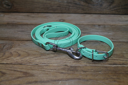 Sea Foam Green Biothane Small Dog Collar - 1/2" (12mm) wide