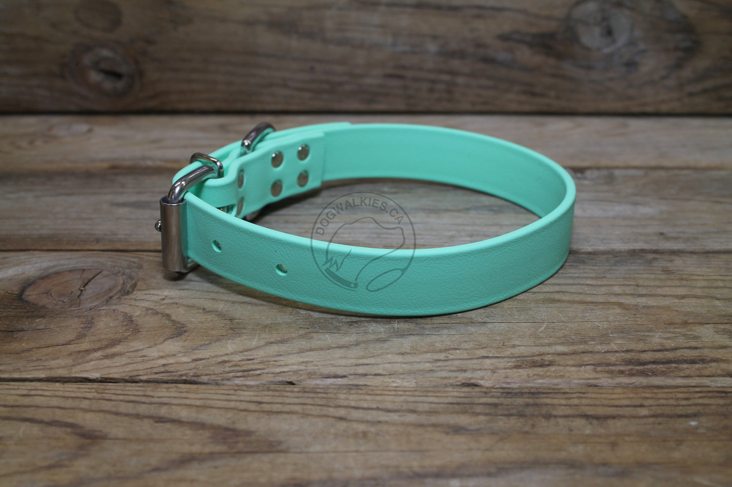 Sea Foam Green Biothane Dog Collar - 1 inch (25mm) wide