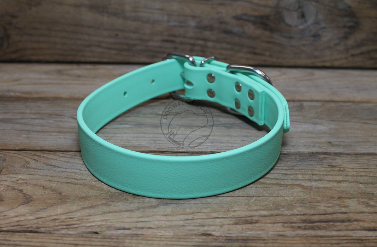 Sea Foam Green Biothane Dog Collar - 1 inch (25mm) wide