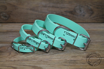 Sea Foam Green Biothane Dog Collar - 1 inch (25mm) wide