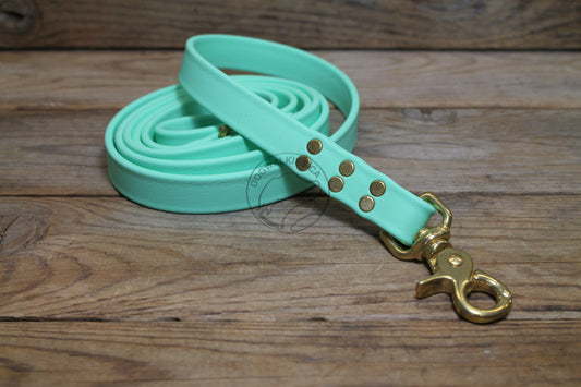Sea Foam Pastel Green Biothane Large Dog Leash