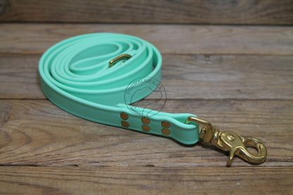 Sea Foam Pastel Green Biothane Large Dog Leash