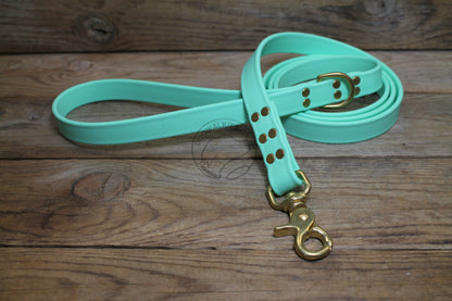 Heavy Biothane Leash 3/4" (20mm) wide - waterproof leash - all colours