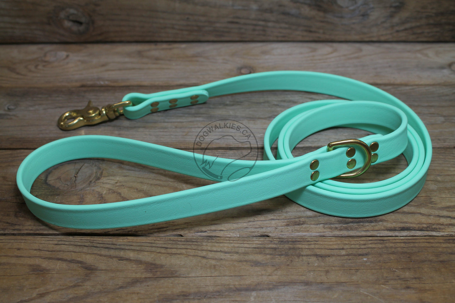 Sea Foam Pastel Green Biothane Large Dog Leash