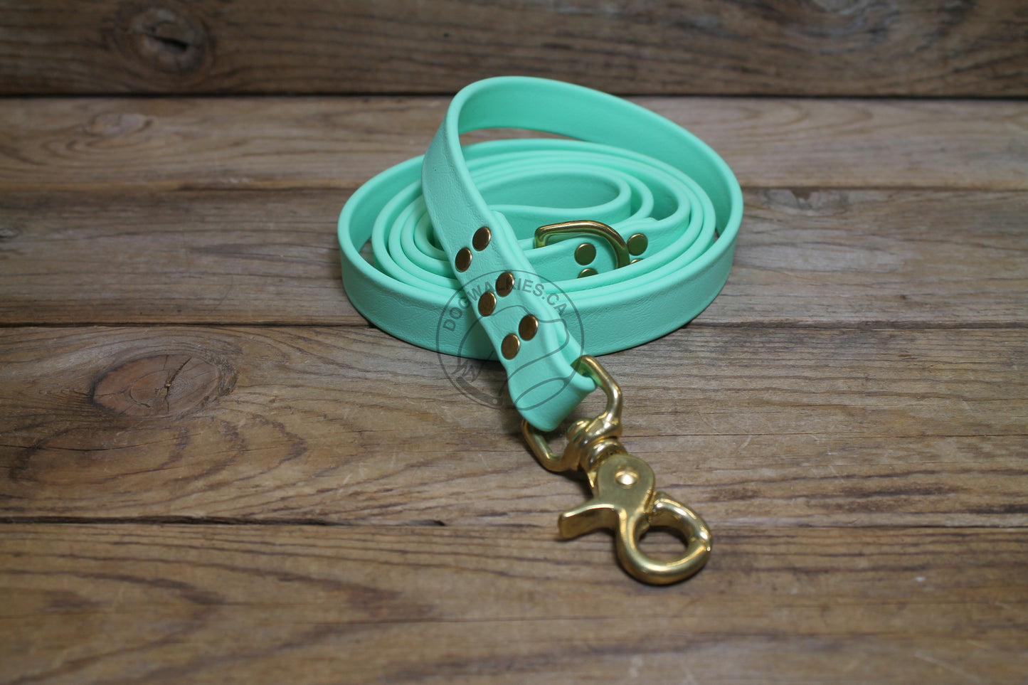 Sea Foam Pastel Green Biothane Large Dog Leash