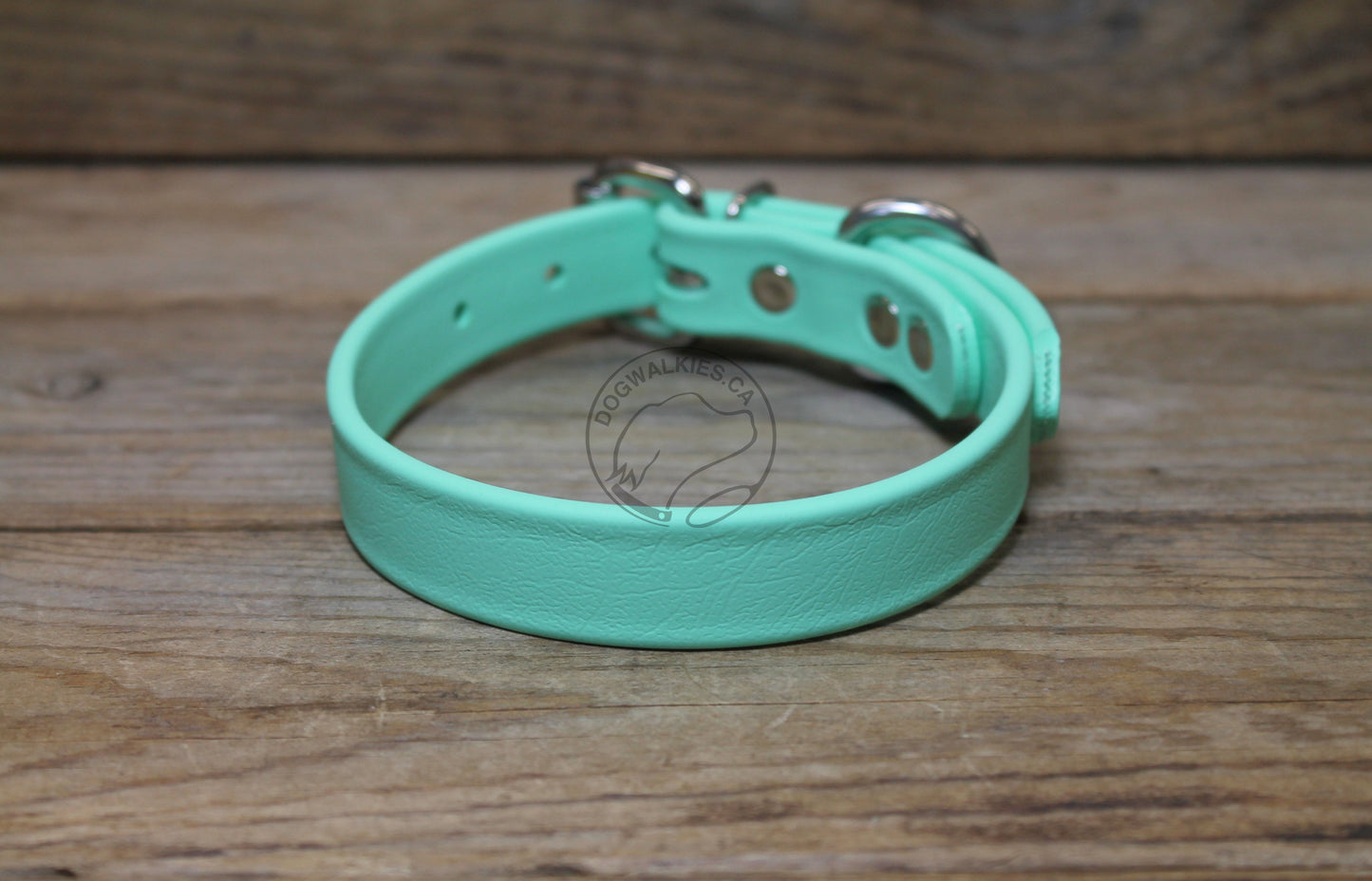 Sea Foam Pastel Green Biothane Dog Collar - 3/4" (20mm) wide