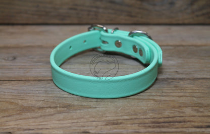 Sea Foam Pastel Green Biothane Dog Collar - 3/4" (20mm) wide