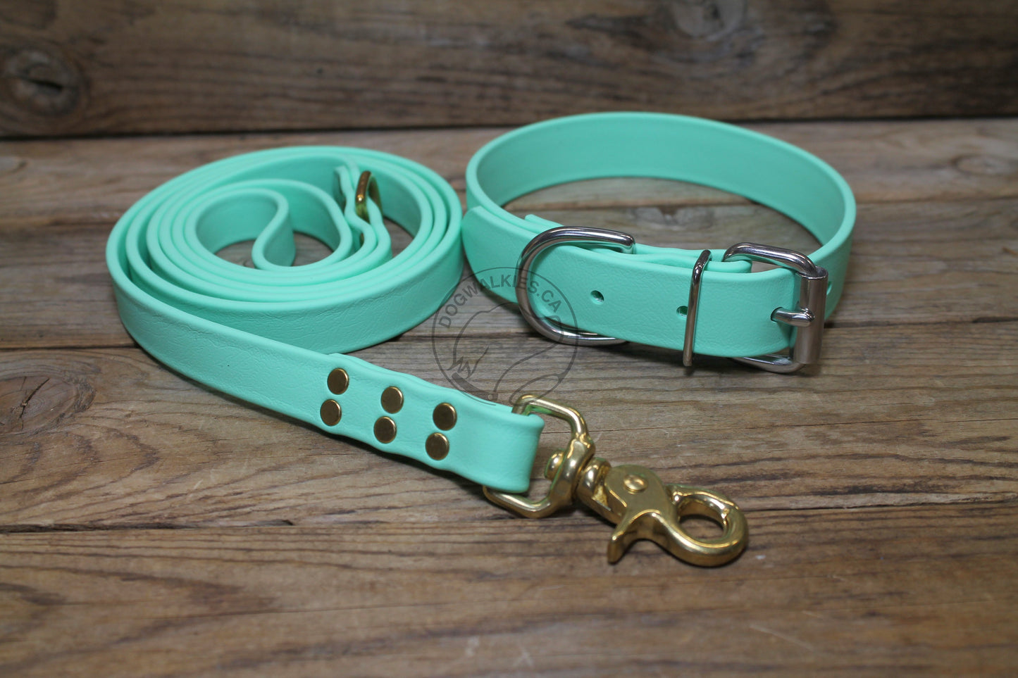 Sea Foam Pastel Green Biothane Large Dog Leash