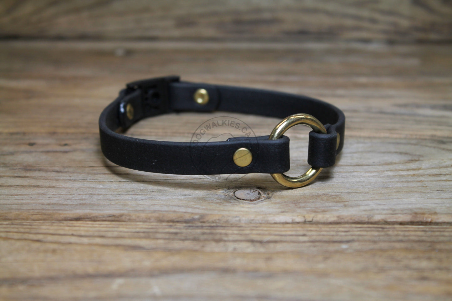 Dog Collar with Breakaway Buckle and O ring - Genuine Biothane Vegan Leather - 12mm (1/2") width - O Ring Collar