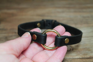 O-ring Dog Collar with Breakaway Buckle - Genuine Biothane Vegan Leather - 12mm (1/2") width - O Ring Collar