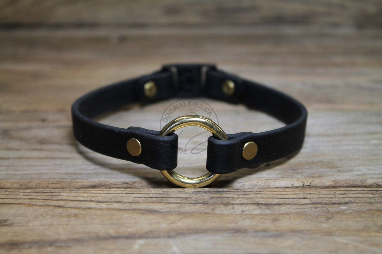 Dog Collar with Breakaway Buckle and O ring - Genuine Biothane Vegan Leather - 12mm (1/2") width - O Ring Collar