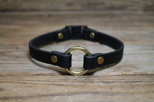 O-ring Dog Collar with Breakaway Buckle - Genuine Biothane Vegan Leather - 12mm (1/2") width - O Ring Collar