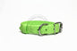 Lime Green Biothane Dog Collar - 1 inch (25mm) wide