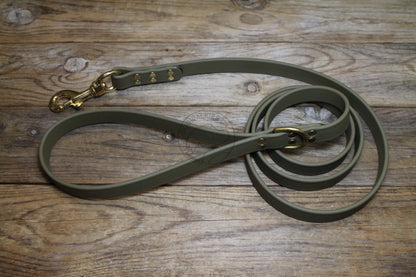 Olive Green Biothane Large Dog Leash
