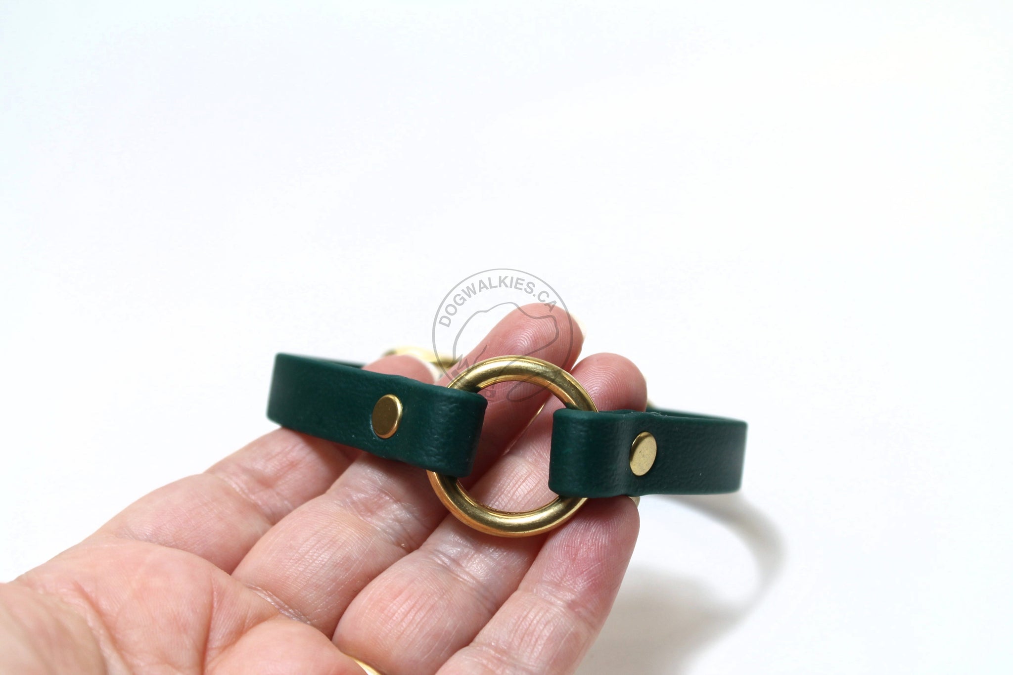 Buckle O-ring Tag Dog Collar in Genuine Biothane - 12mm (1/2") width - O Ring Collar