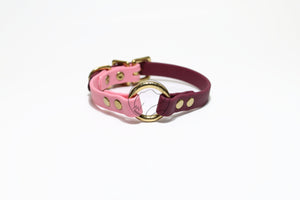 Biothane Thin Two Tone Ring Dog Collar - Waterproof -  1/2" (12mm) wide