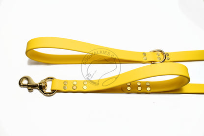 Two Handle Biothane Large 3/4"(20mm) wide Dog Leash - Leash with Traffic Handle - 37 Colours