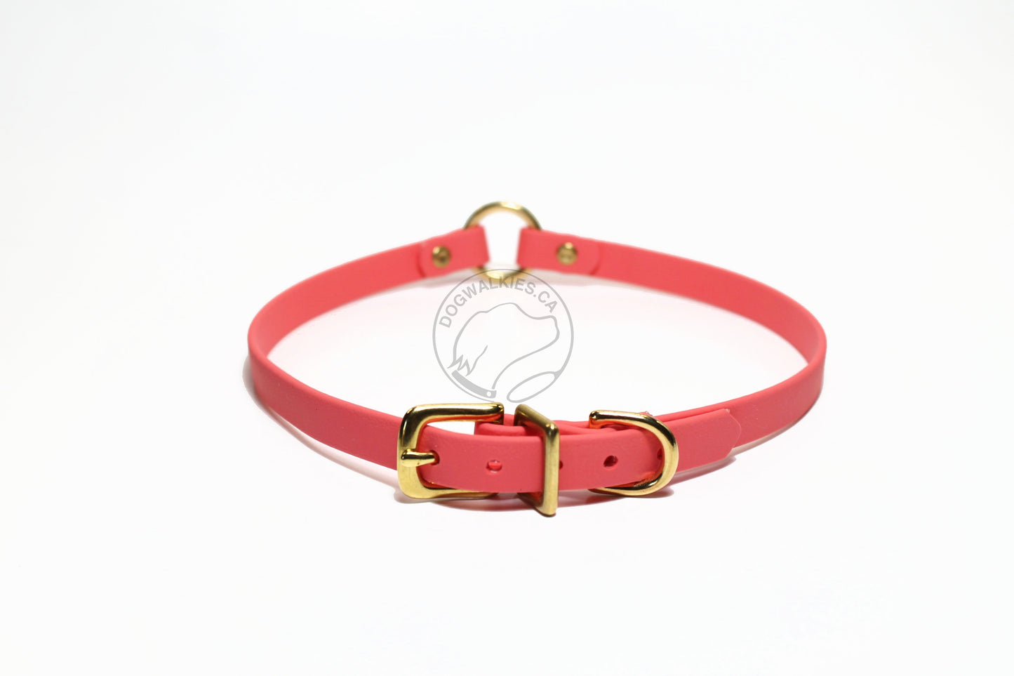 Buckle O-ring Tag Dog Collar in Genuine Biothane - 12mm (1/2") width - O Ring Collar