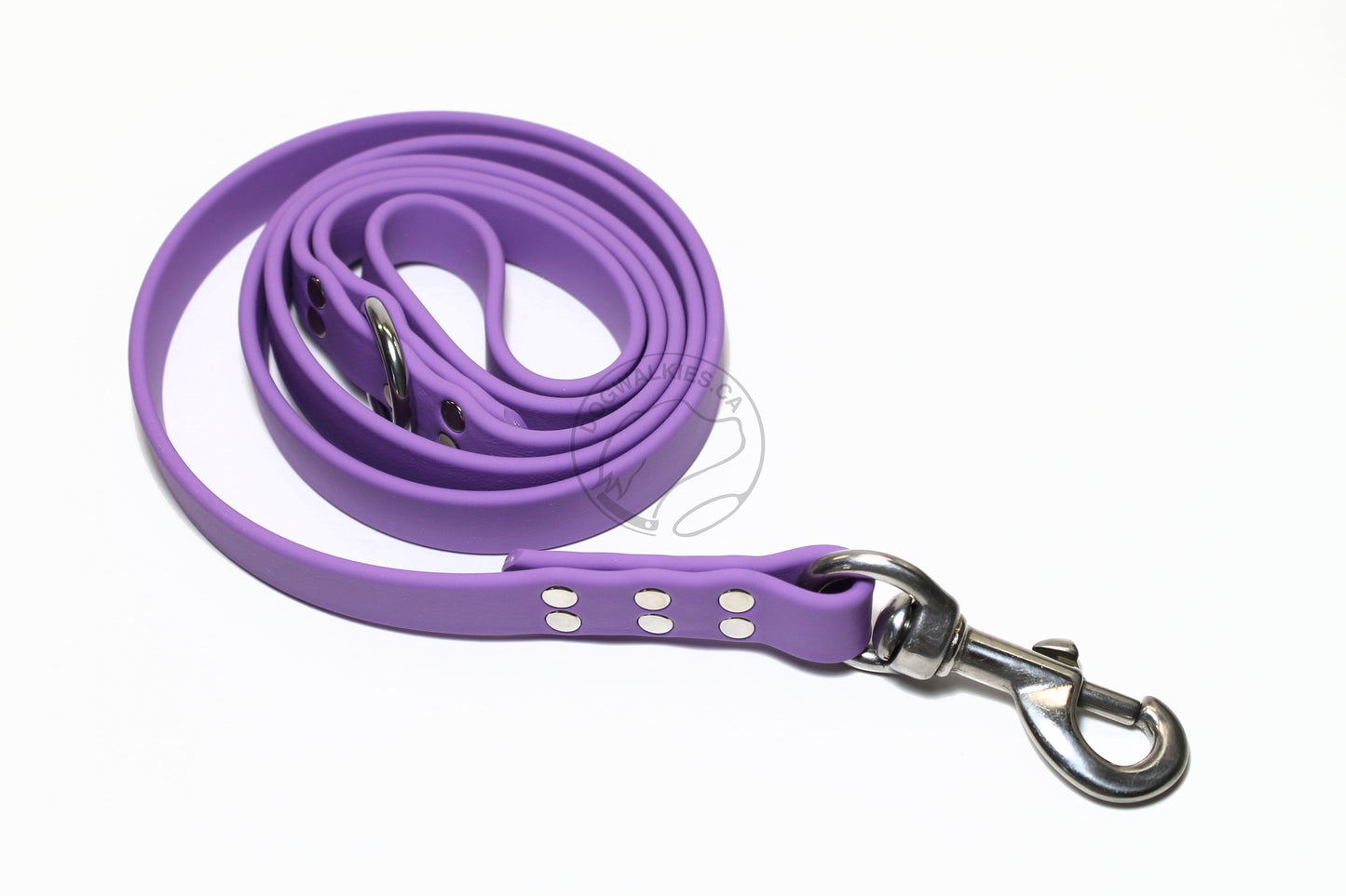Amethyst Biothane Large Dog Leash