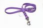 Amethyst Biothane Large Dog Leash