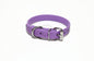 Amethyst Biothane Dog Collar - 3/4" (20mm) wide